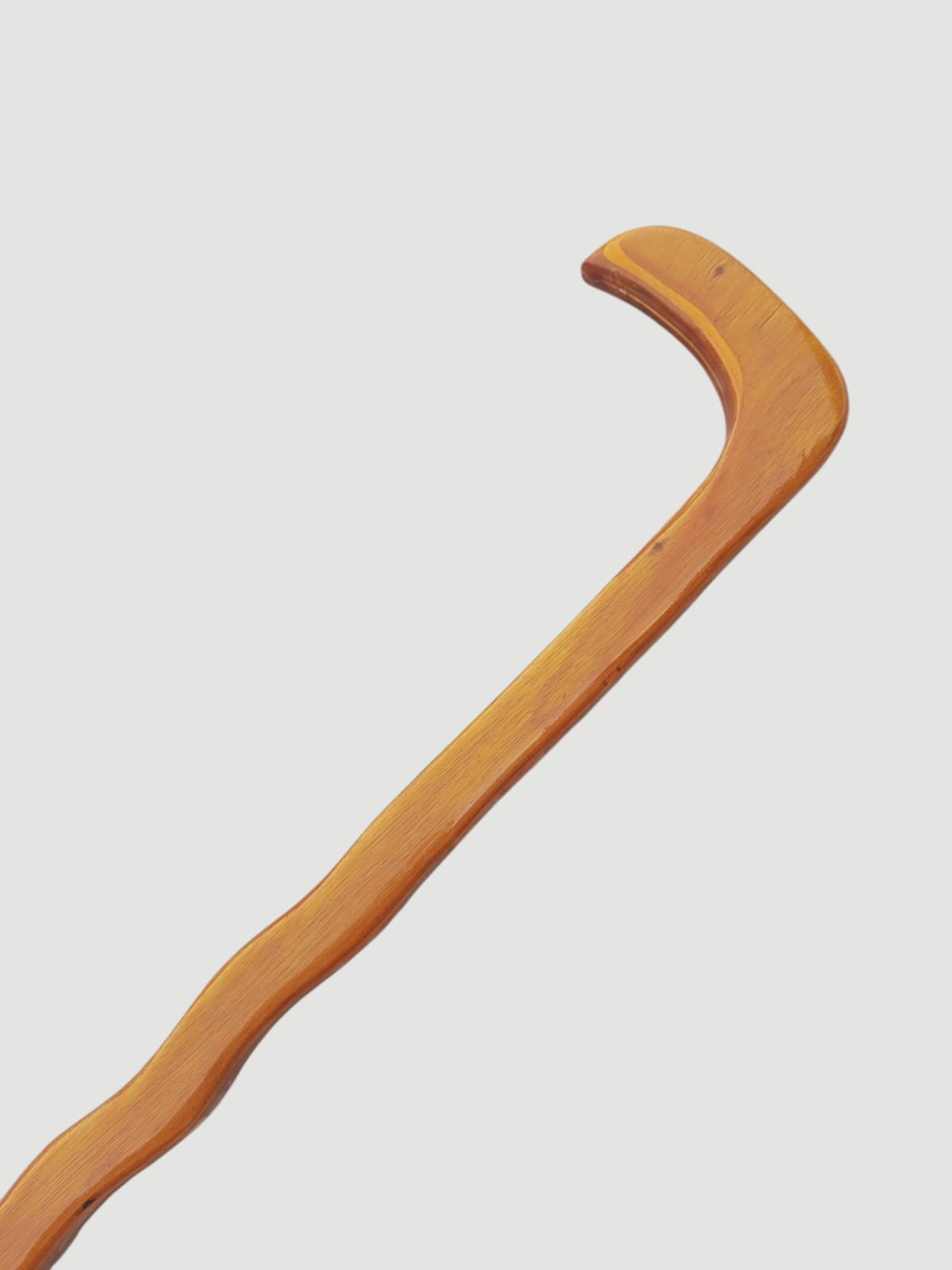 Sher Dil Walking Stick