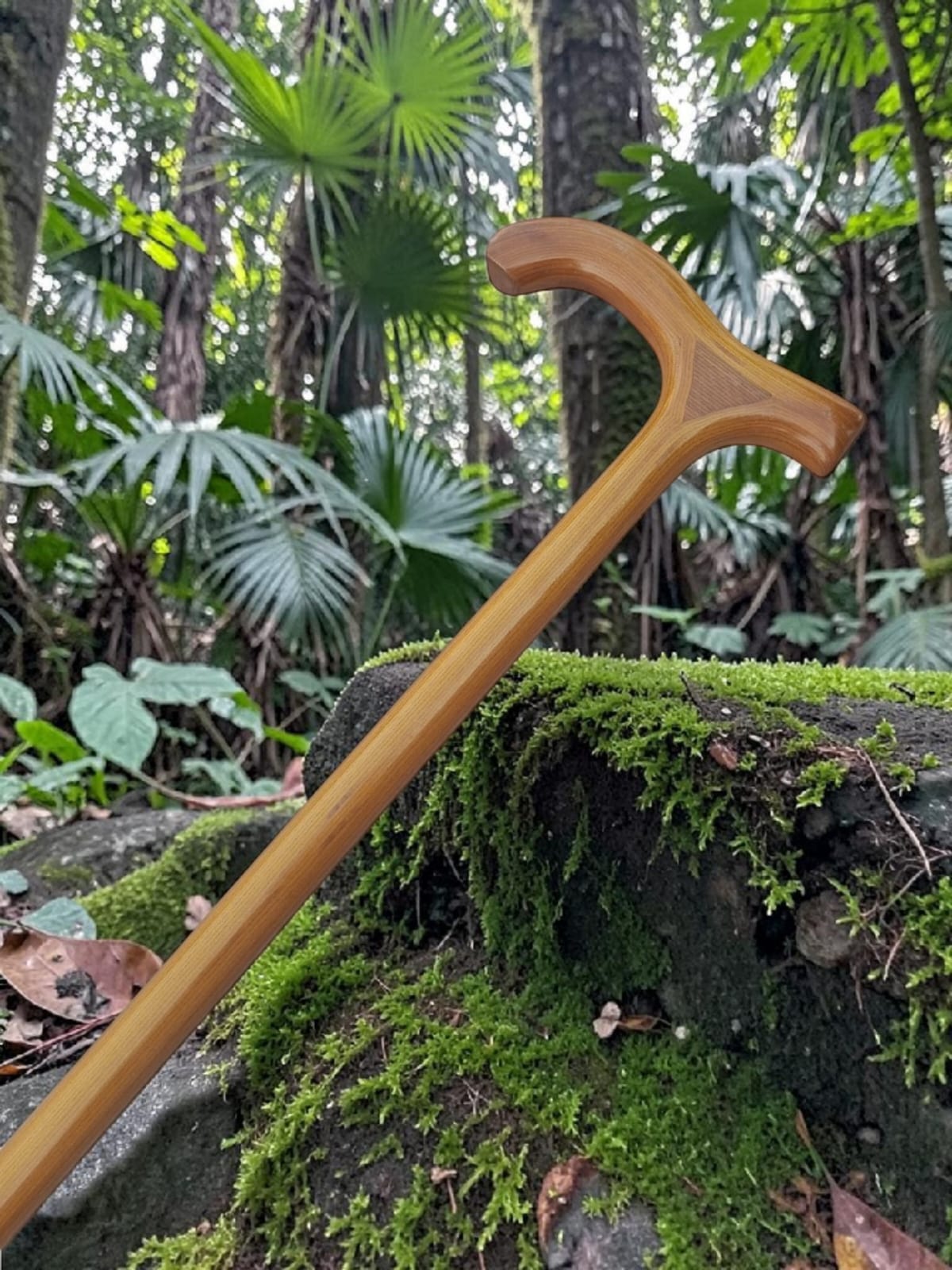 Smoothie Premium Walking Stick Chocolate Color (T Shape)